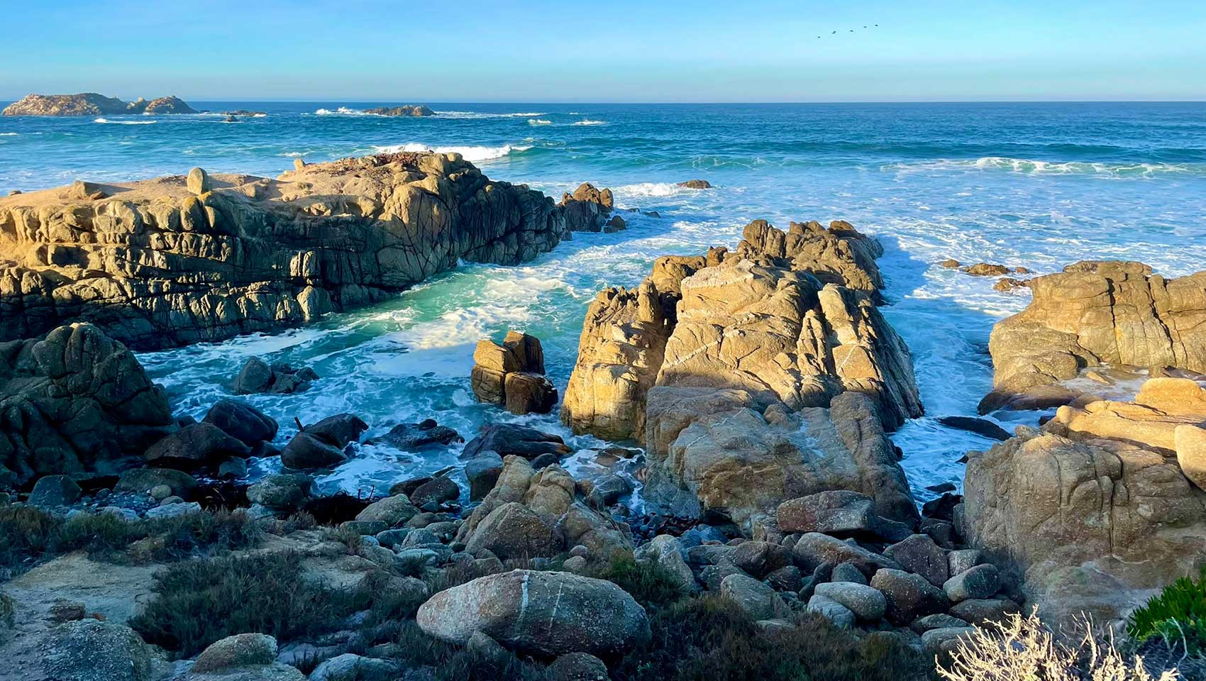 Monterey Bay coastline