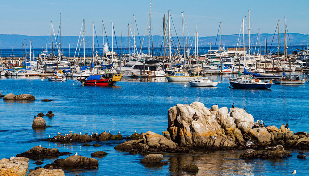 Monterey Bay harbor