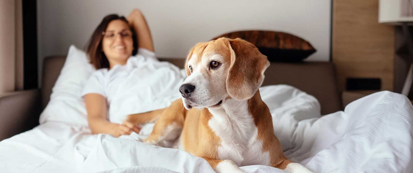 dog in bed with woman